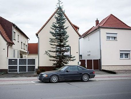 GESUCHT: MÄNNLICH, NICHTBEHINDERT, NORMAL