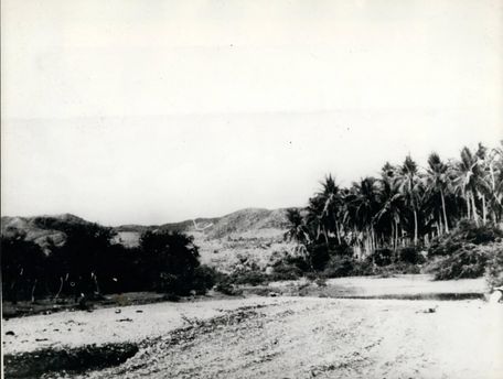 Schwarz/Wei&szlig; Foto Strand mit Palmen